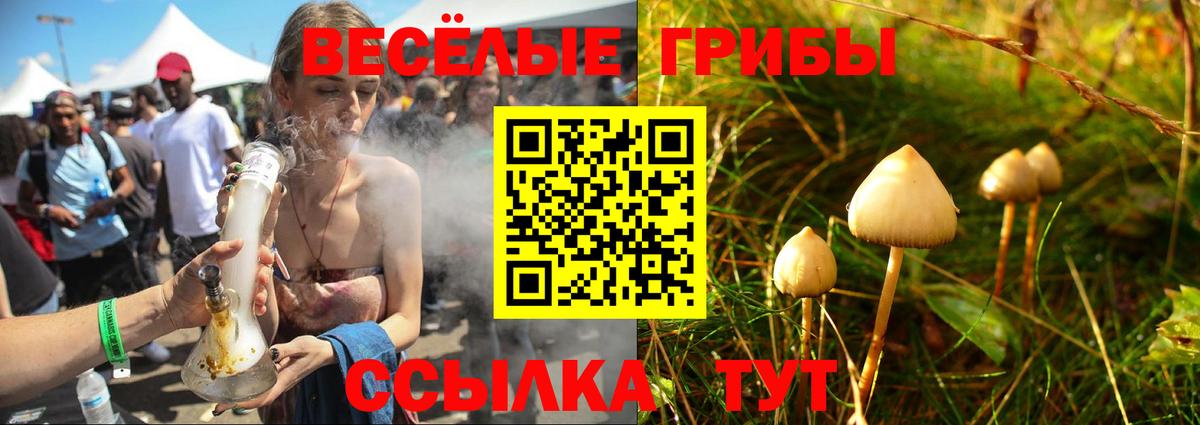 Галлюциногенные грибы Psilocybine cubensis  Вход с VPN  Первоуральск  Галлюциногенные грибы мицелий 
